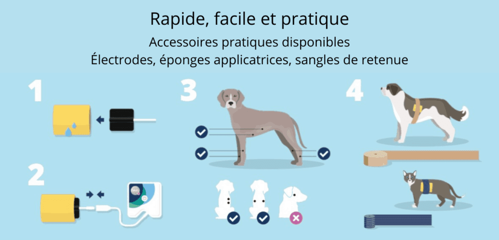 accessoires animaux