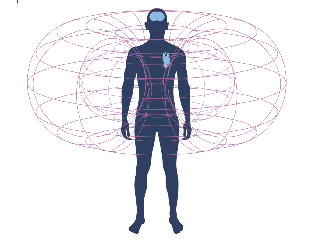 Les champs électromagnétiques et le corps humain