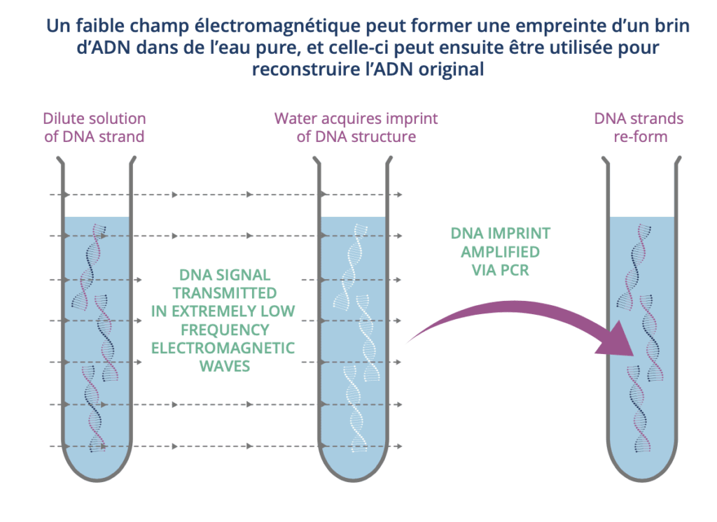 Les informations électromagnétiques dans l’eau